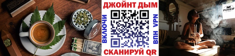 omg   как найти закладки  Ядрин  Cannafood конопля 